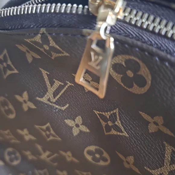 Louis Vuitton Brown Monogram Men's Backpack - Picture 2 of 7